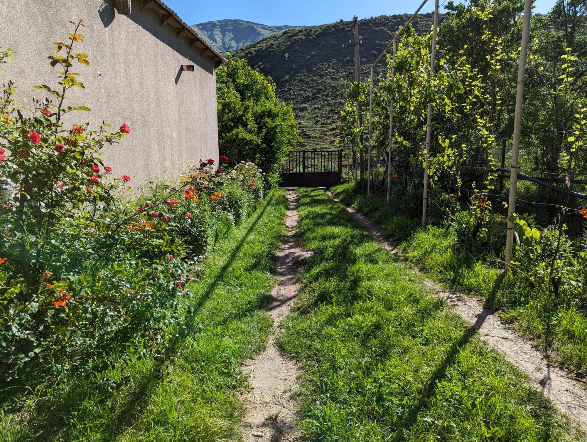 Отель Bee House Pia Экстерьер фото