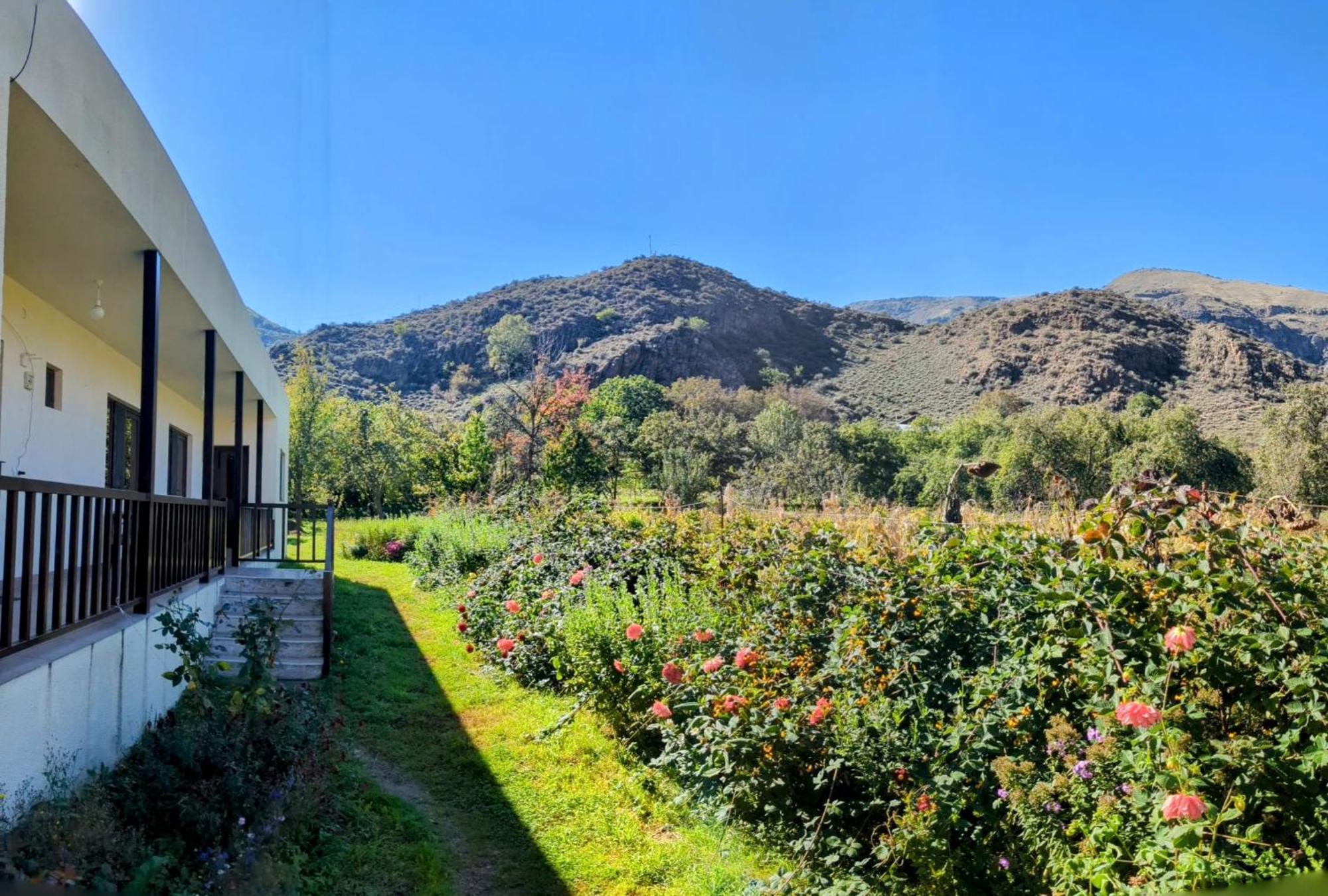 Отель Bee House Pia Экстерьер фото